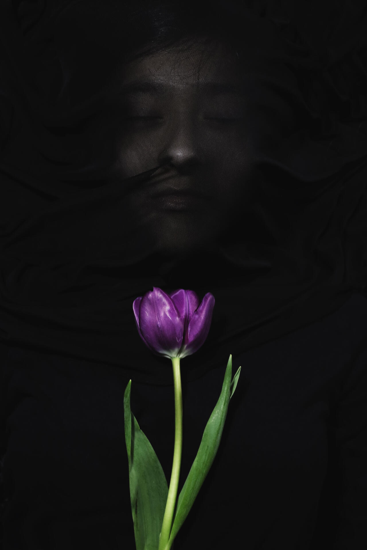 A Dream Within a Dream